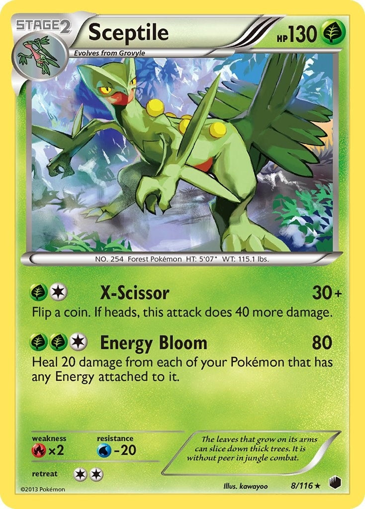 Sceptile (8/116) (PLF)