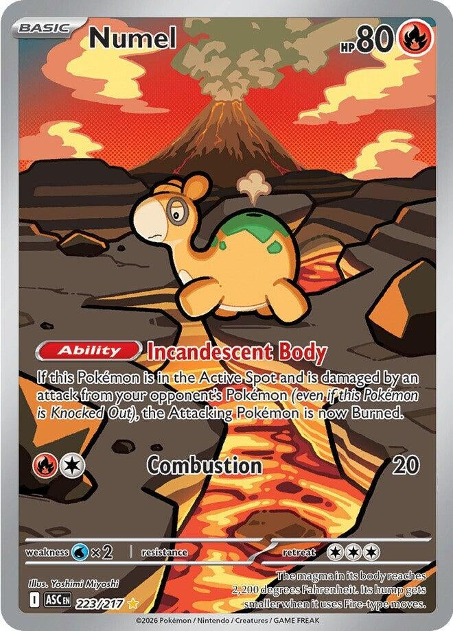 Numel (223/217) (ASC)